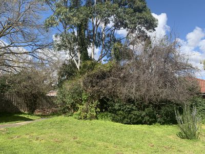 19 Packham Street, Box Hill North