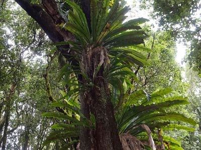 15 Old Kangaloon Road, Robertson
