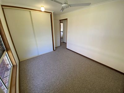 121 Ibis Boulevard, Eli Waters