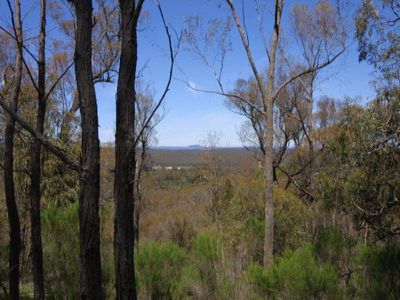 Lot 1 Bush Sanctuary Road, Chewton