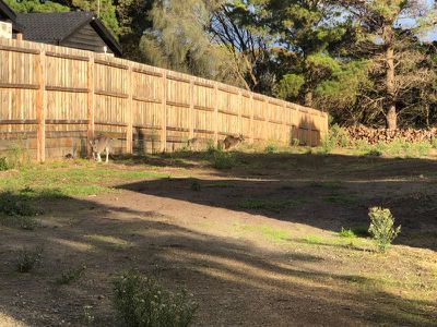 132 Cape Schanck Road, Cape Schanck