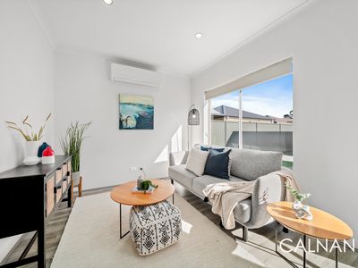 86 JUBILEE AVENUE, Success