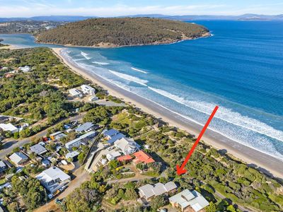 9 Ocean Grove, Carlton