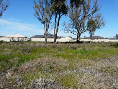 Tocumwal