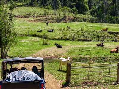 4358 Kyogle Road, Lillian Rock