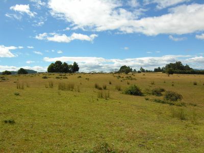 Lot 1 Fourfoot Road, Geeveston