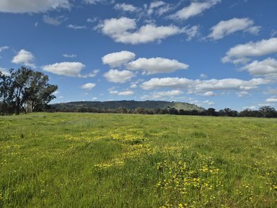393 Mansfield Road, Euroa