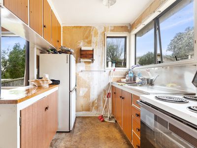 20 Meilland Place, Glen Eden