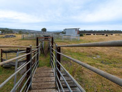 202 Dingo Flat Road, Tingledale