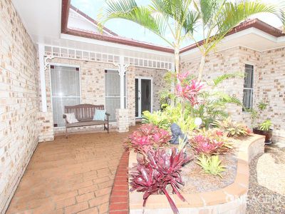 77 Bowerbird Avenue, Eli Waters
