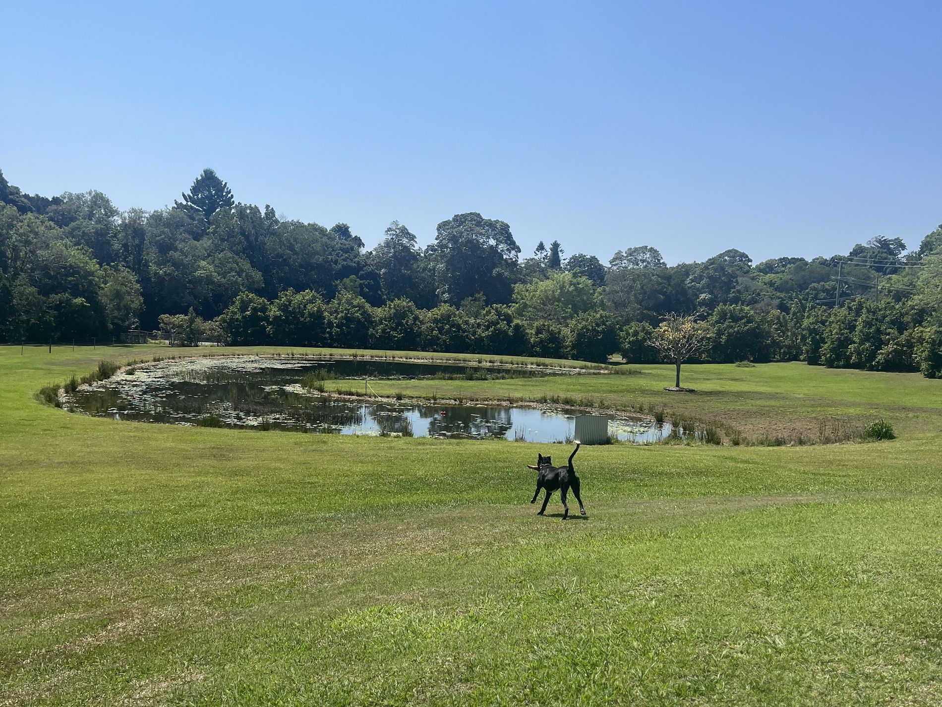10 Wust Road, Cooroy