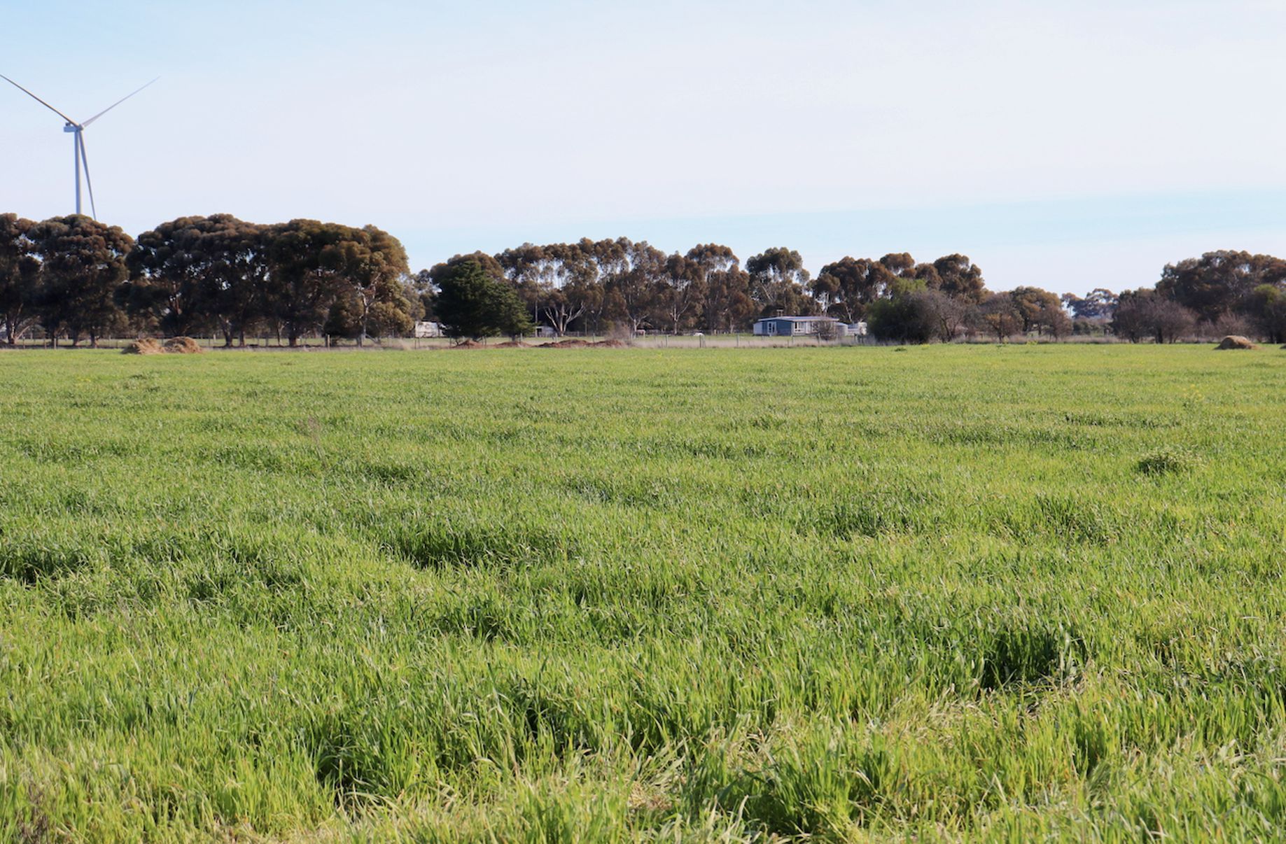 Lot 1, 2, 3 &, 4 COLAC-BALLARAT ROAD, Rokewood