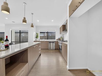 14 Pepita Crescent, Manor Lakes
