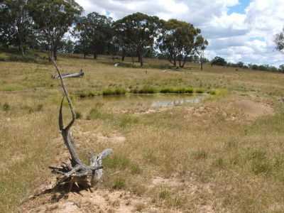 Lot 355, 354 Torrington Road, Stannum