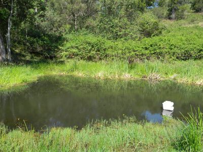 345 Harpers Creek Rd , Maleny