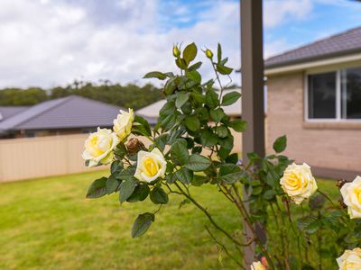 4 Frangipani Avenue, Ulladulla