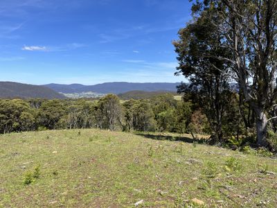 28834 Tasman Highway, Weldborough