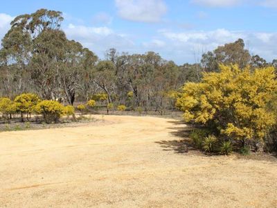 415 Boort Wedderburn Road, Wedderburn