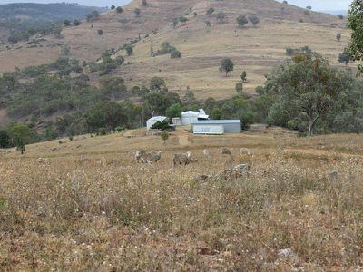 1735 The Bridle Track, Bruinbun