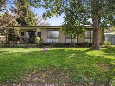 31 St Bernard Drive, Tawonga South