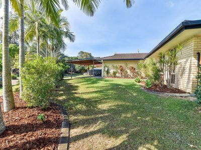 6 Peter Court, Buderim