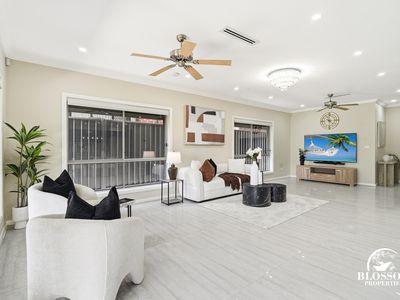 6 Driftwood Street, Box Hill