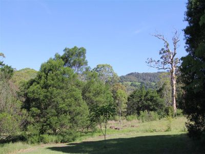 46 Jenanter Drive, Kangaroo Valley