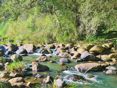 1242 Tuntable Creek Road, Nimbin
