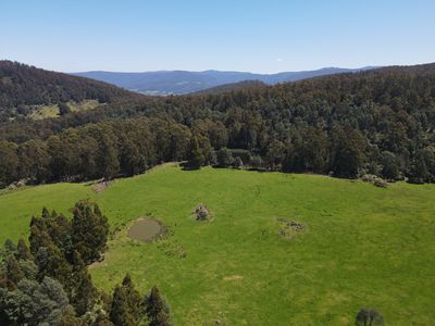 Lot 1 (99 Acres), Coal Mine Road, Kaoota