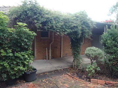 14 Saffron Street, Newtown