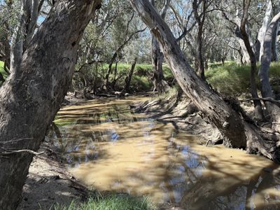 2255 Newell Highway, Tichborne