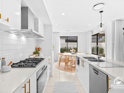 50 Avocet Circuit, Marsden Park