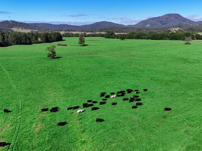 1456 Rollands Plains Road, Ballengarra