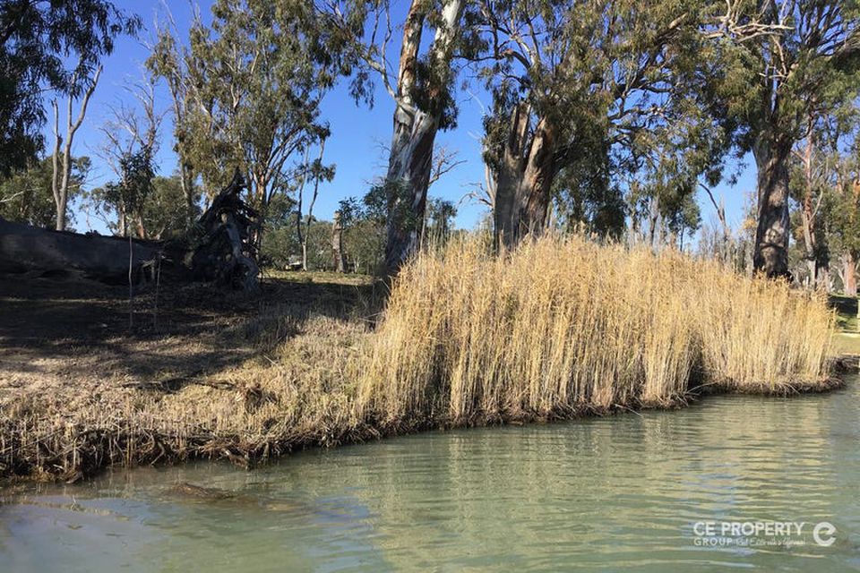 73 Marks Landing Shack Road, Swan Reach