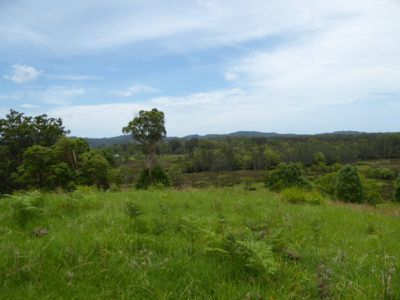 Lot 9 Mullumbimby Road, Mullumbimby