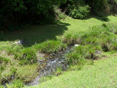 Maleny