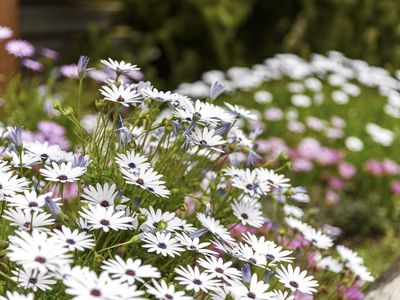 90 Lake Conjola Entrance Road, Lake Conjola