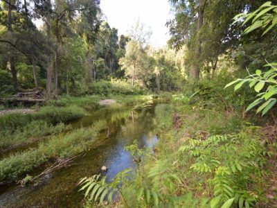 312 Booloumba Creek Road, Cambroon