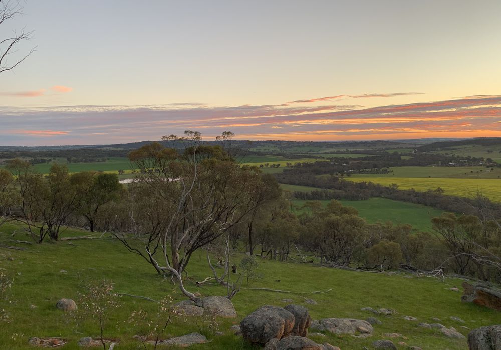 90 Hobbs Road, Dale