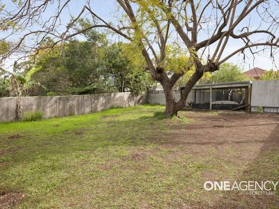 60 Cypress St, Inala
