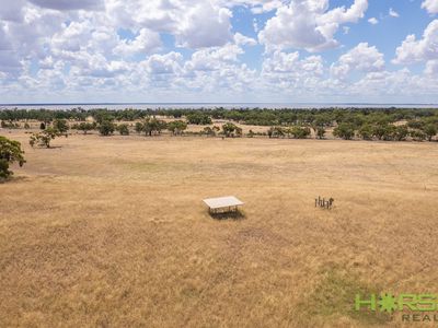 3861 Nhill-Jeparit Road, Jeparit