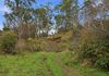 820 Ellendale Road, Ellendale