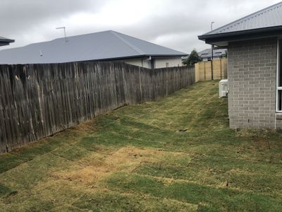 51 Wallace street , Walloon