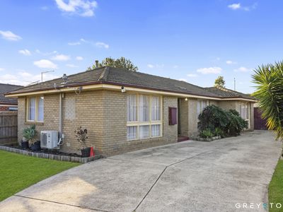12 Falcon Drive, Melton