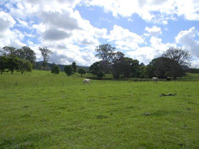 3568 Maleny Kenilworth Road, Kenilworth
