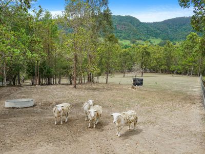 935 Tamborine-Oxenford Road, Wongawallan
