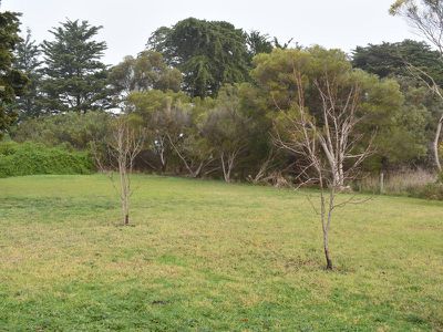 1044 Mount Hope Road Thornlea Via, Millicent