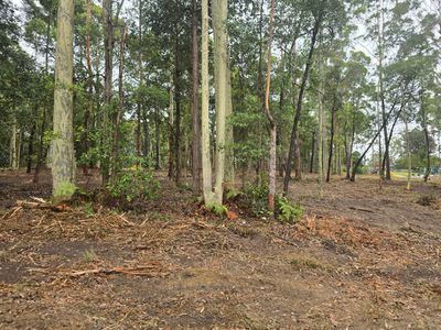 9 JERBERRA ROAD, Tomerong