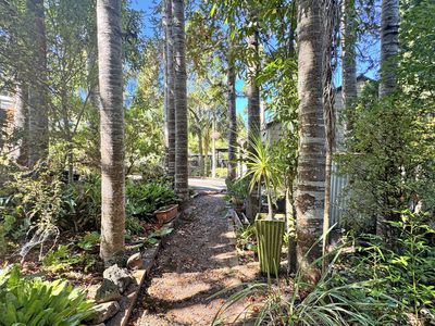 11 Fitzpatrick Place, Chatswood