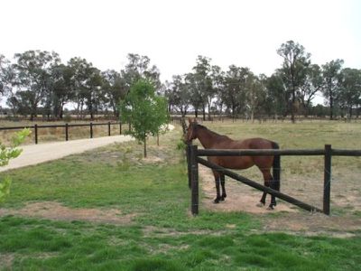 622 Chiltern Barnawartha Road, Barnawartha